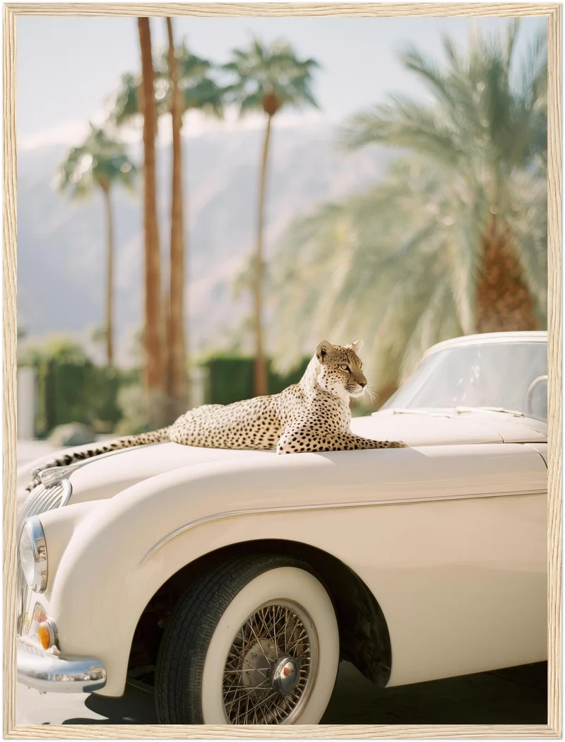 Gepard auf Creme-Cabrio Poster