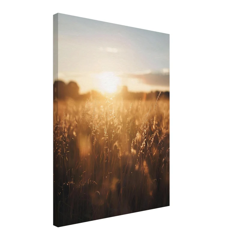 Goldenes Abendlicht im Grasfeld Leinwand