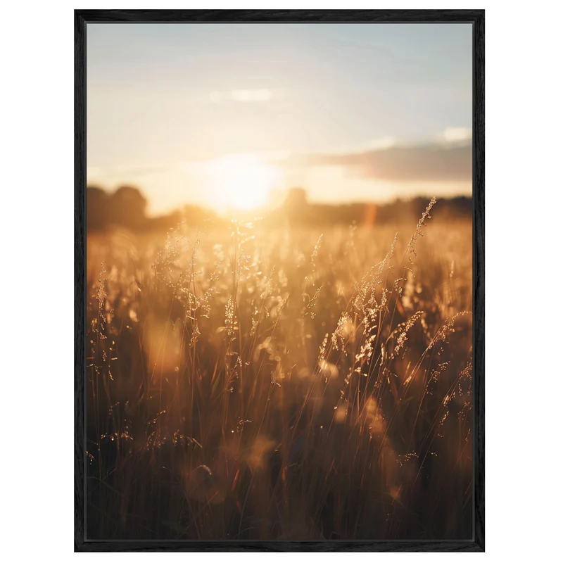 Goldenes Abendlicht im Grasfeld Leinwand