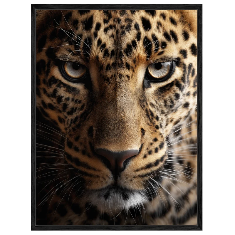 Leopard im Fokus Leinwand
