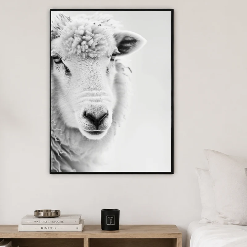 Schaf Portrait Schwarz Weiss Poster