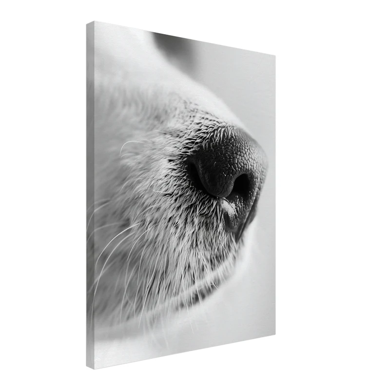 Hundeschnauze Nahaufnahme Leinwand