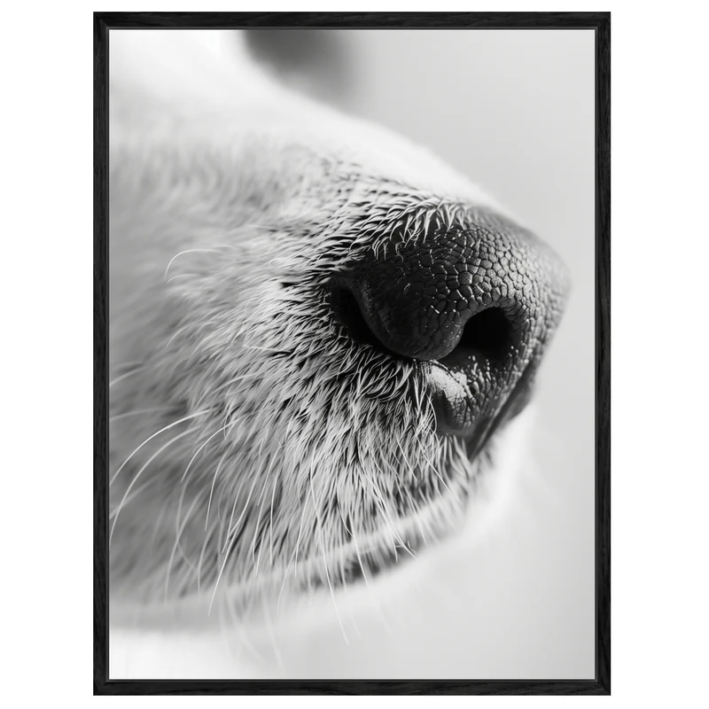 Hundeschnauze Nahaufnahme Leinwand
