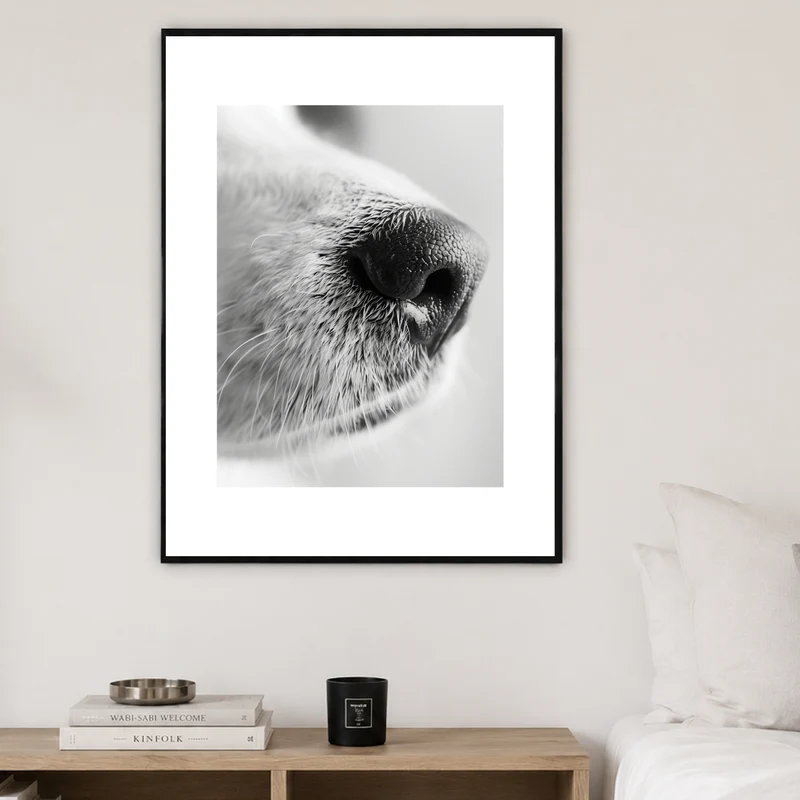 Hundeschnauze Nahaufnahme Poster