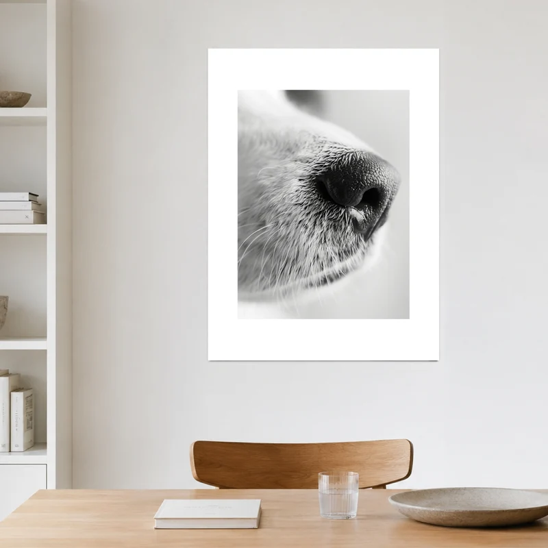 Hundeschnauze Nahaufnahme Poster