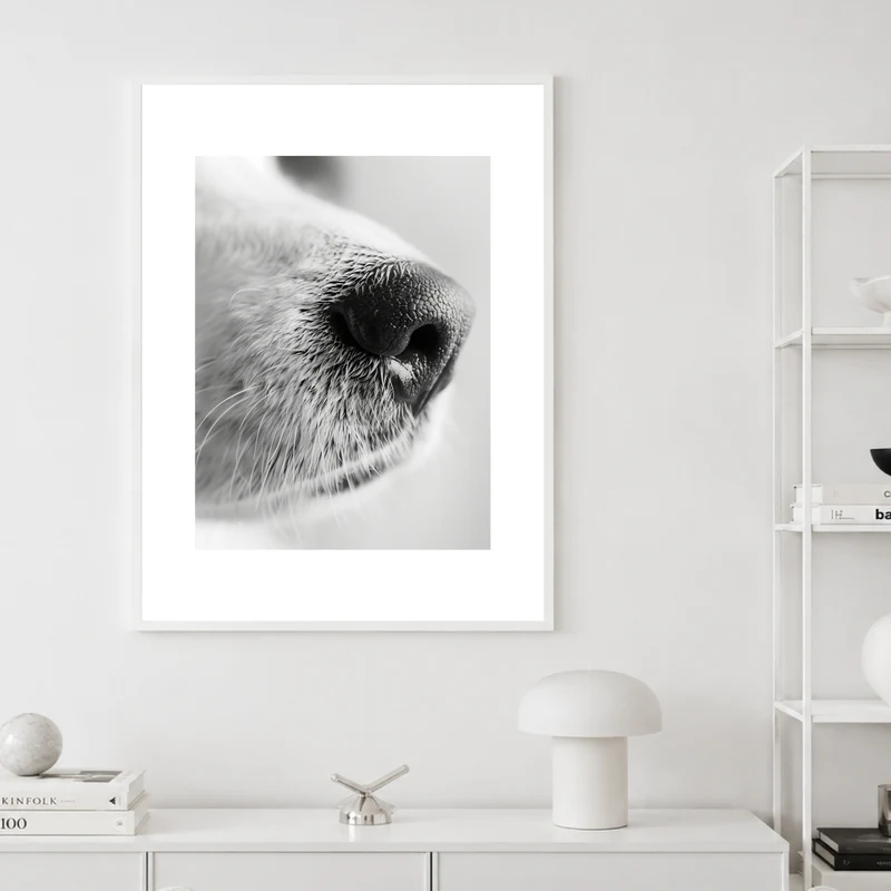 Hundeschnauze Nahaufnahme Poster