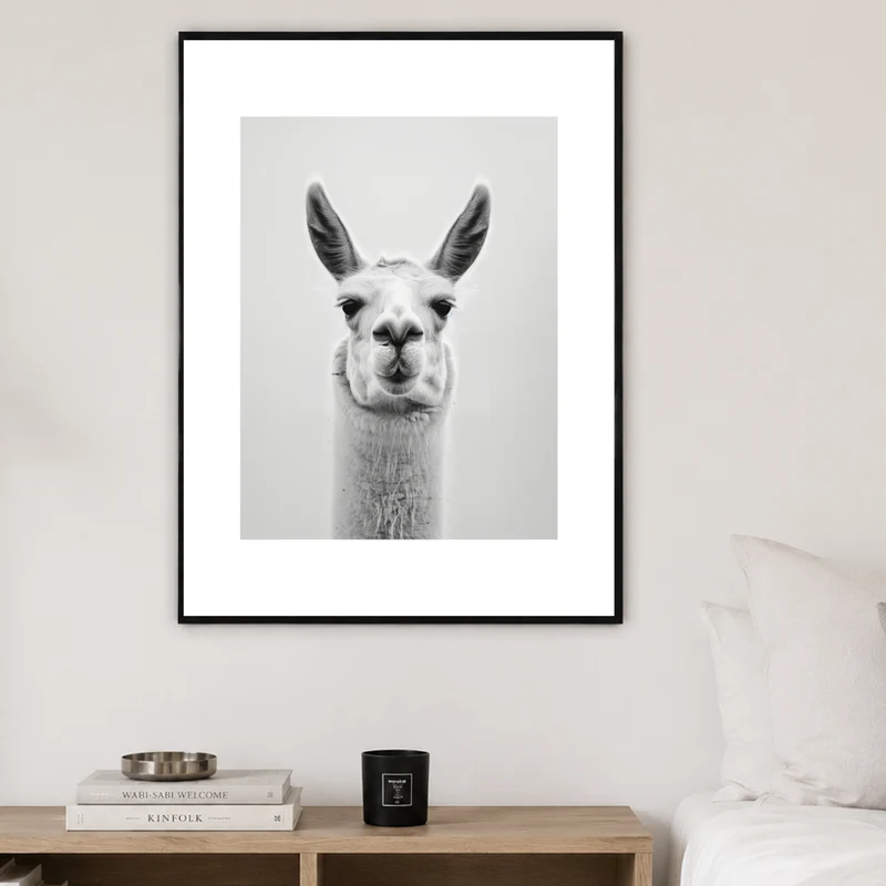 Lama Schwarzweiss Portrait Poster
