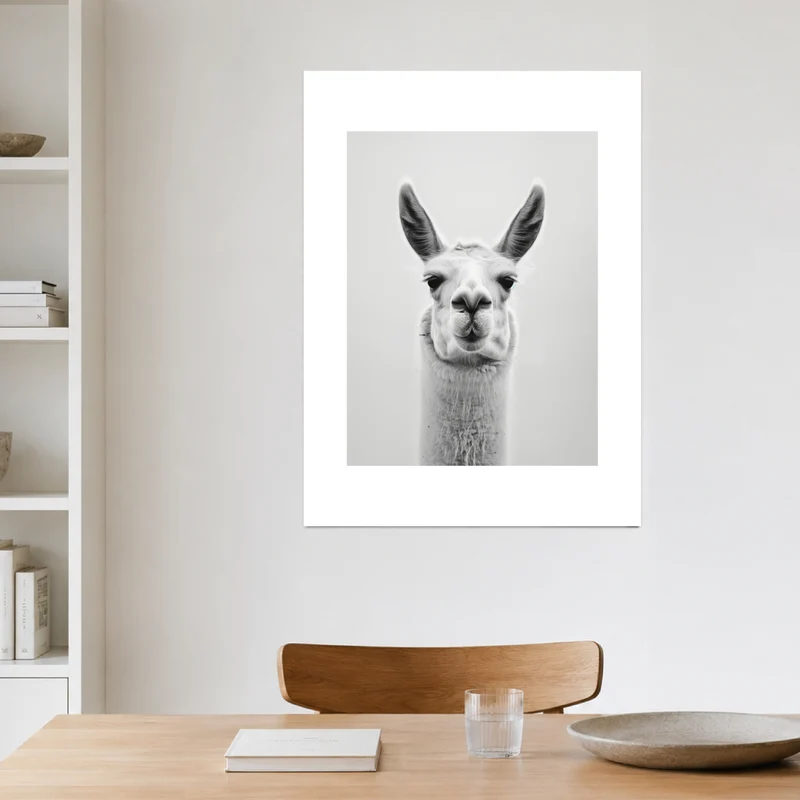 Lama Schwarzweiss Portrait Poster