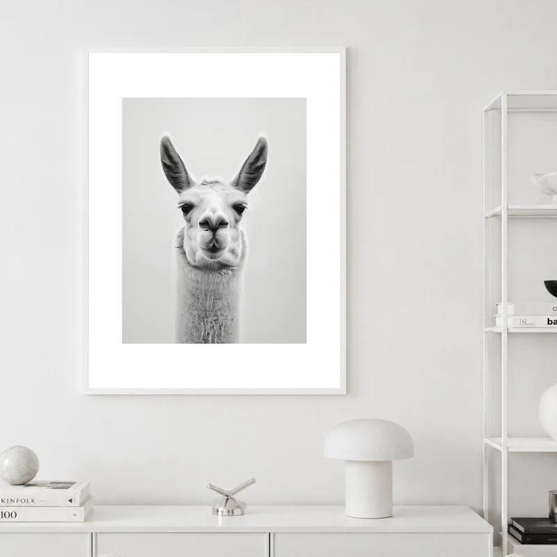 Lama Schwarzweiss Portrait Poster