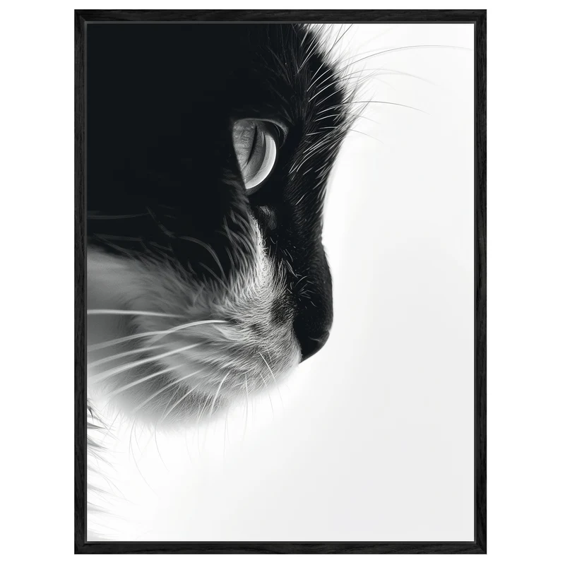 Katzenprofil Schwarz Weiss Leinwand