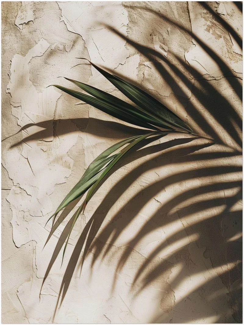 Palmschatten auf Putz Leinwand