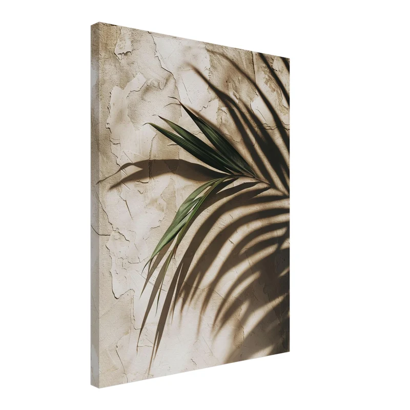 Palmschatten auf Putz Leinwand