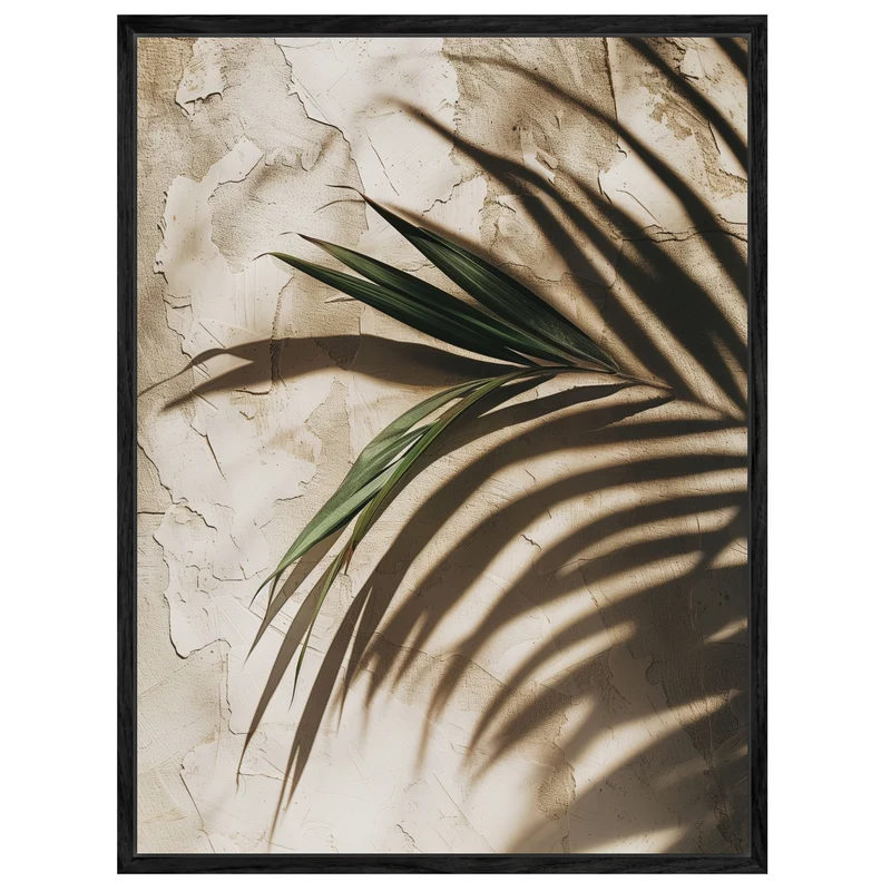 Palmschatten auf Putz Leinwand