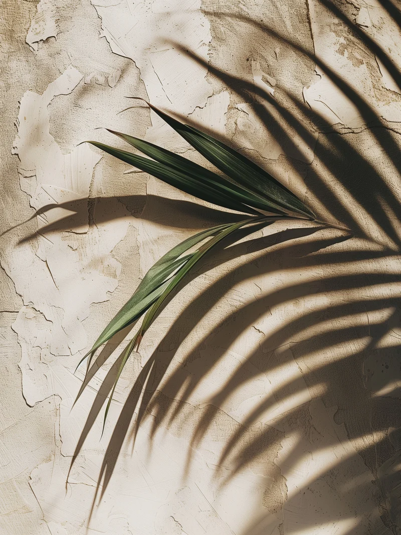 Palmschatten auf Putz Poster