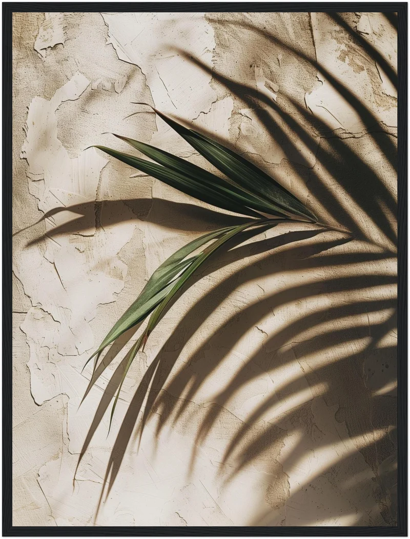 Palmschatten auf Putz Poster