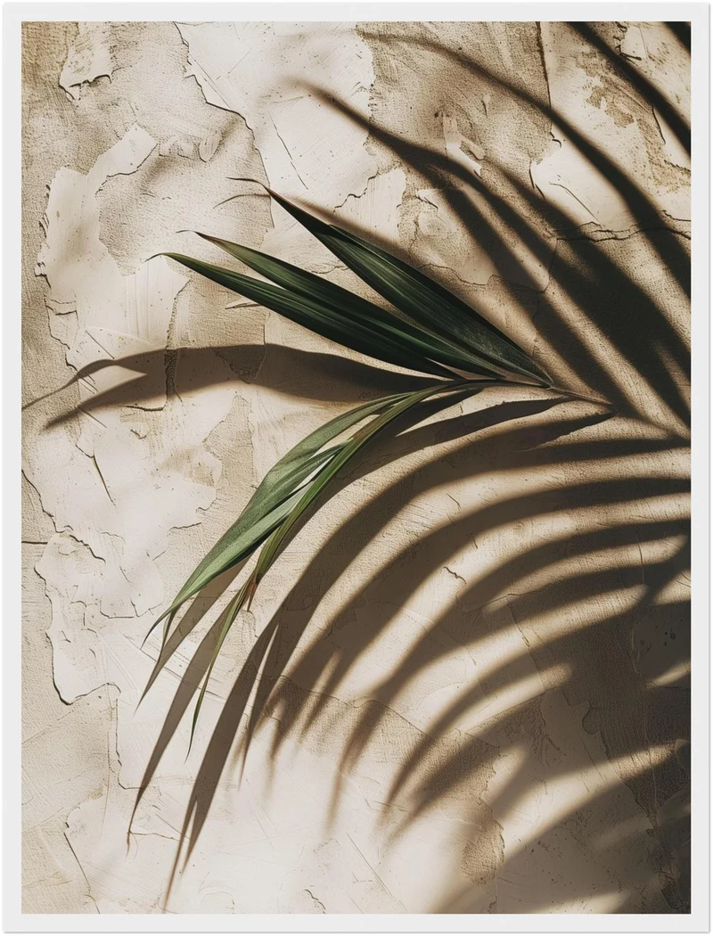Palmschatten auf Putz Poster