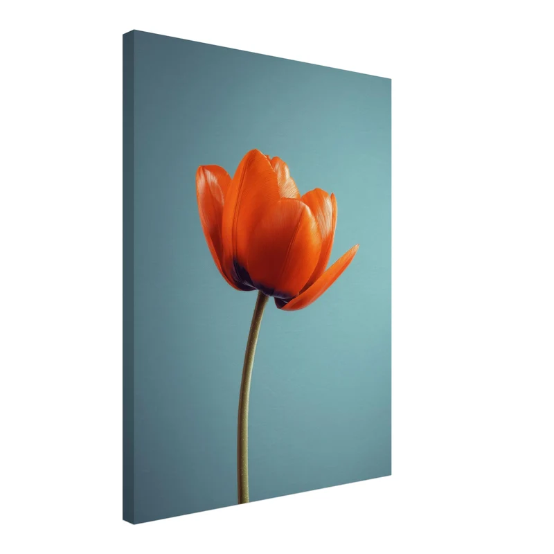 Orangene Tulpe Leinwandbild