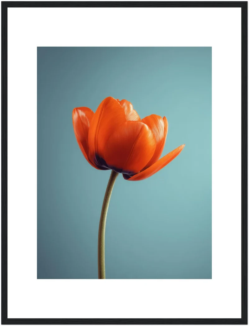Orangene Tulpe Poster