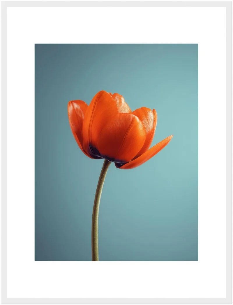 Orangene Tulpe Poster