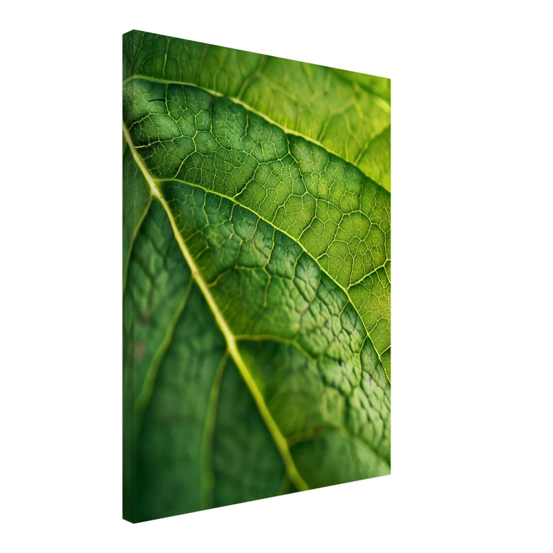 Grünes Blatt Makro Leinwandbild