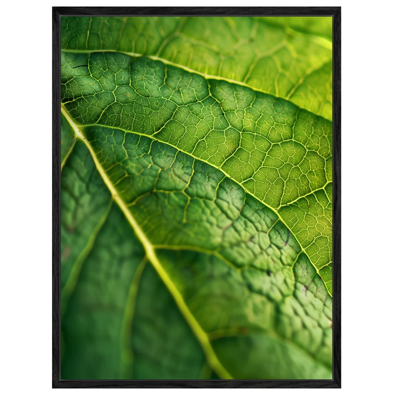 Grünes Blatt Makro Leinwandbild