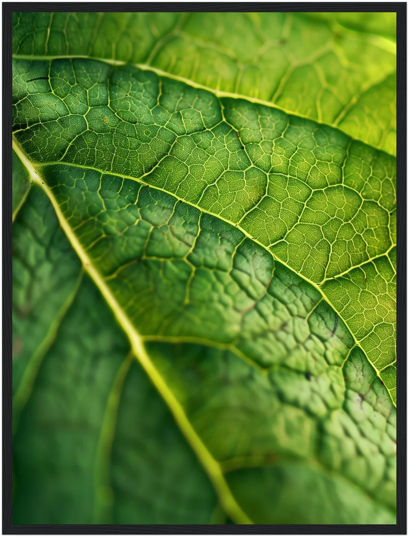 Grünes Blatt Makro Poster