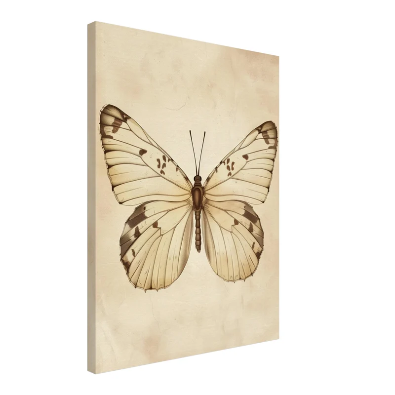 Schmetterling Leinwandbild