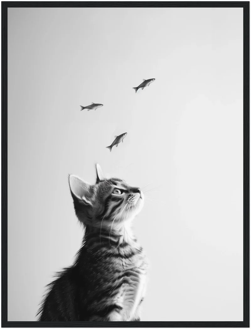 Katze Fische Poster