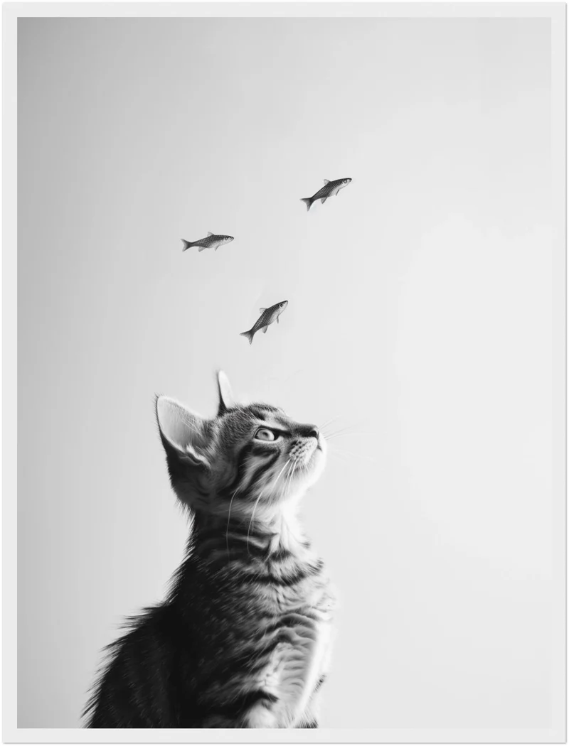 Katze Fische Poster