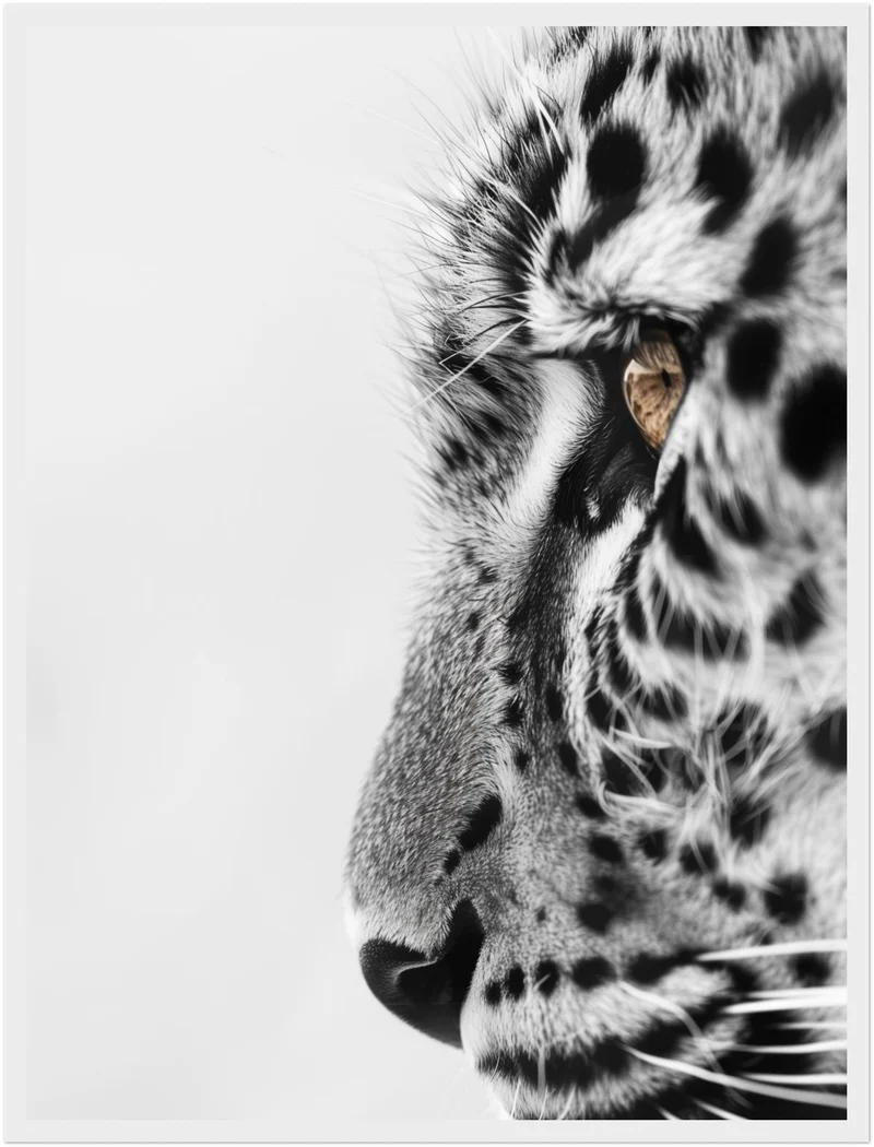 Leo Poster