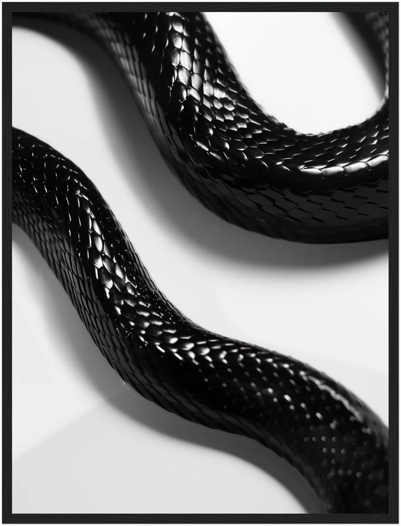 Schlange Poster