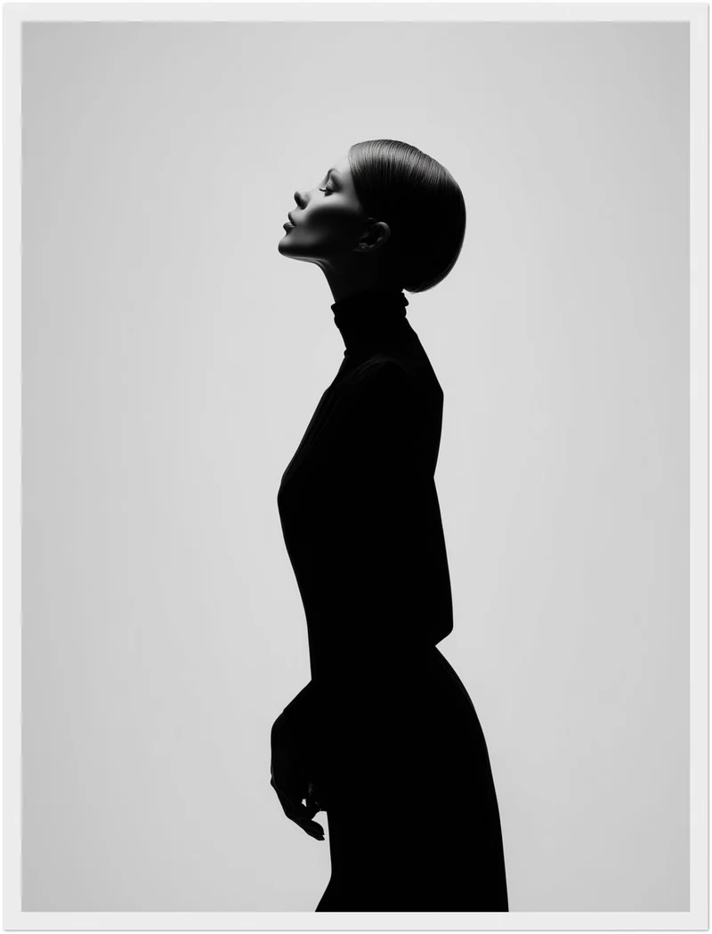 Elegante Silhouette Poster