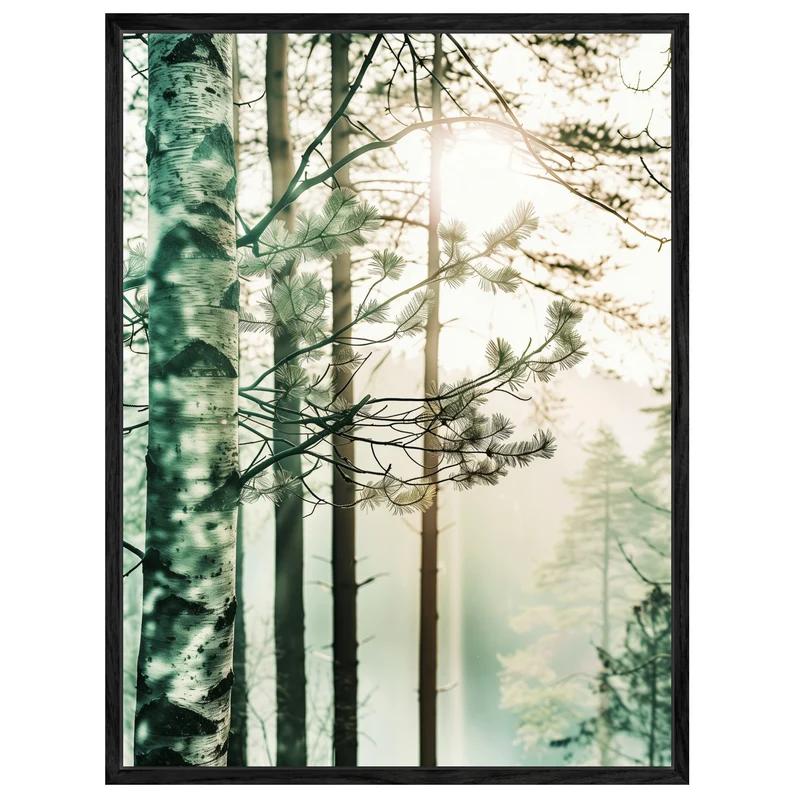 Birkenwald im Morgennebel Leinwand
