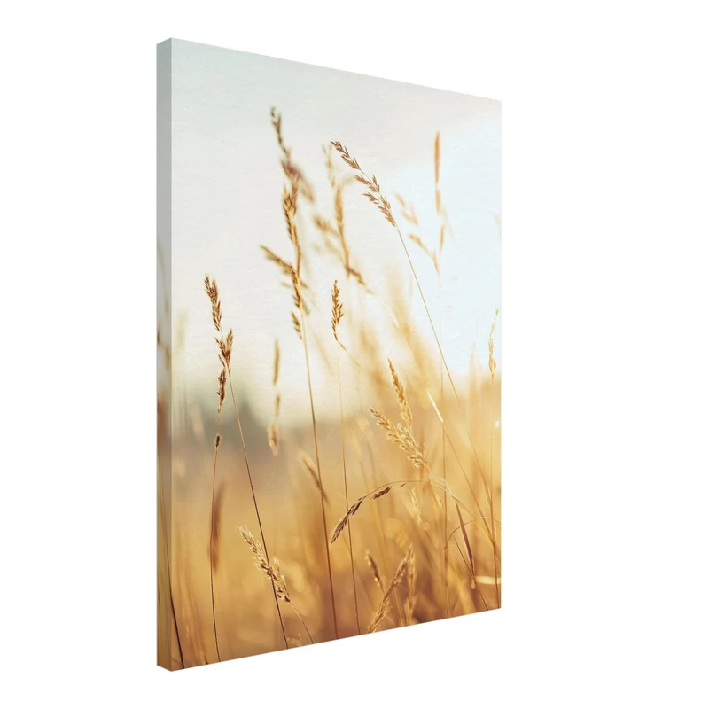Goldene Gräser im Sonnenlicht Leinwand