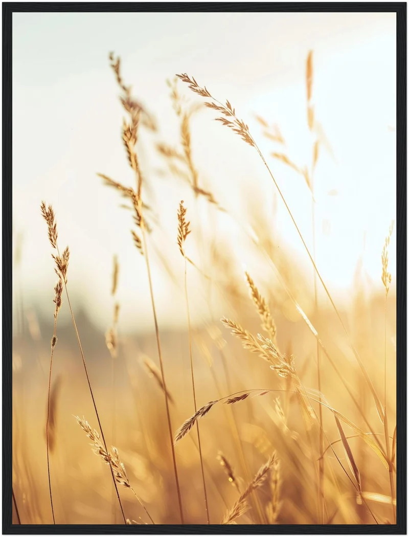 Goldene Gräser im Sonnenlicht Poster