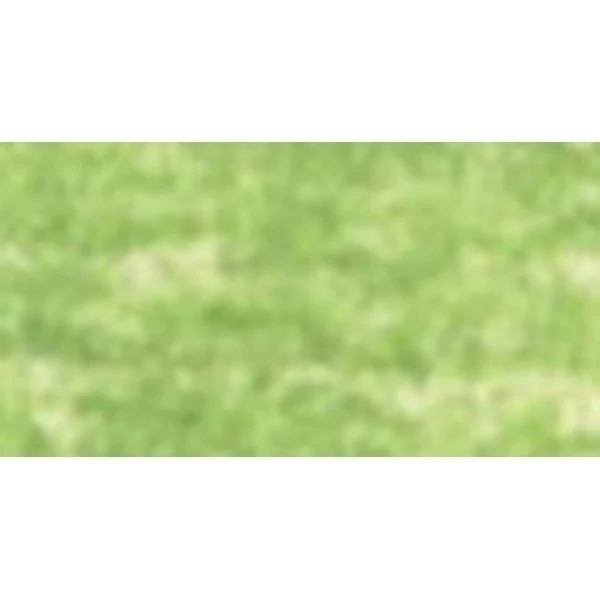 Derwent - Pastel Pencil - May Green