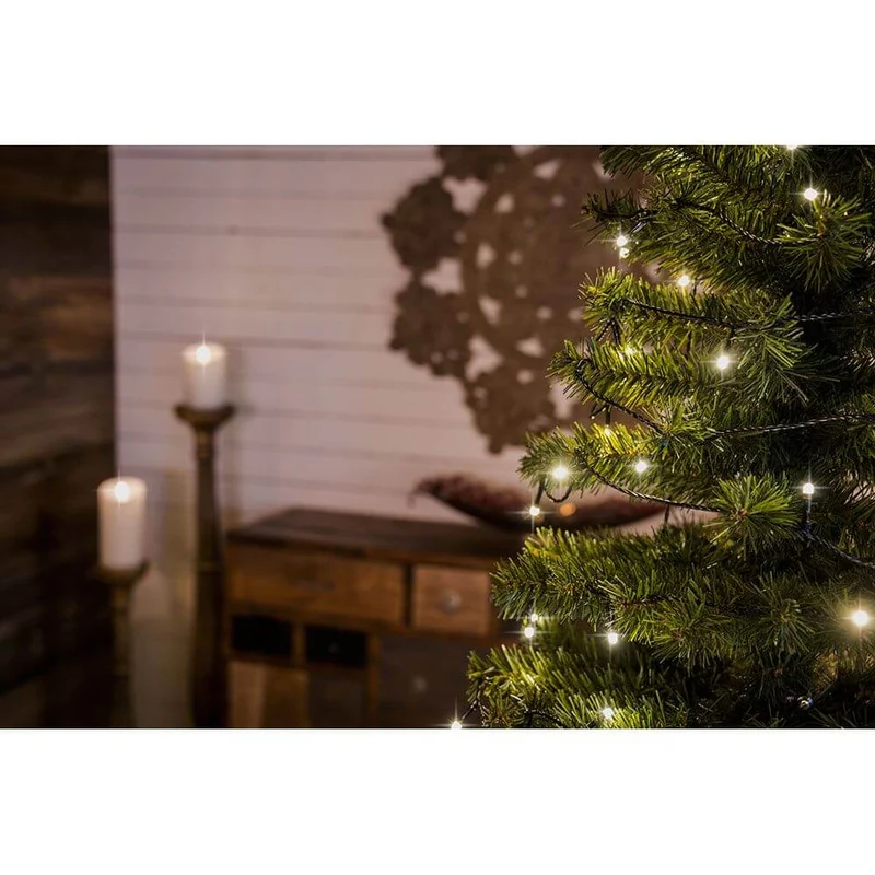 12m Micro LED Lichterkette gefrostet 10 Warmweiße Dioden