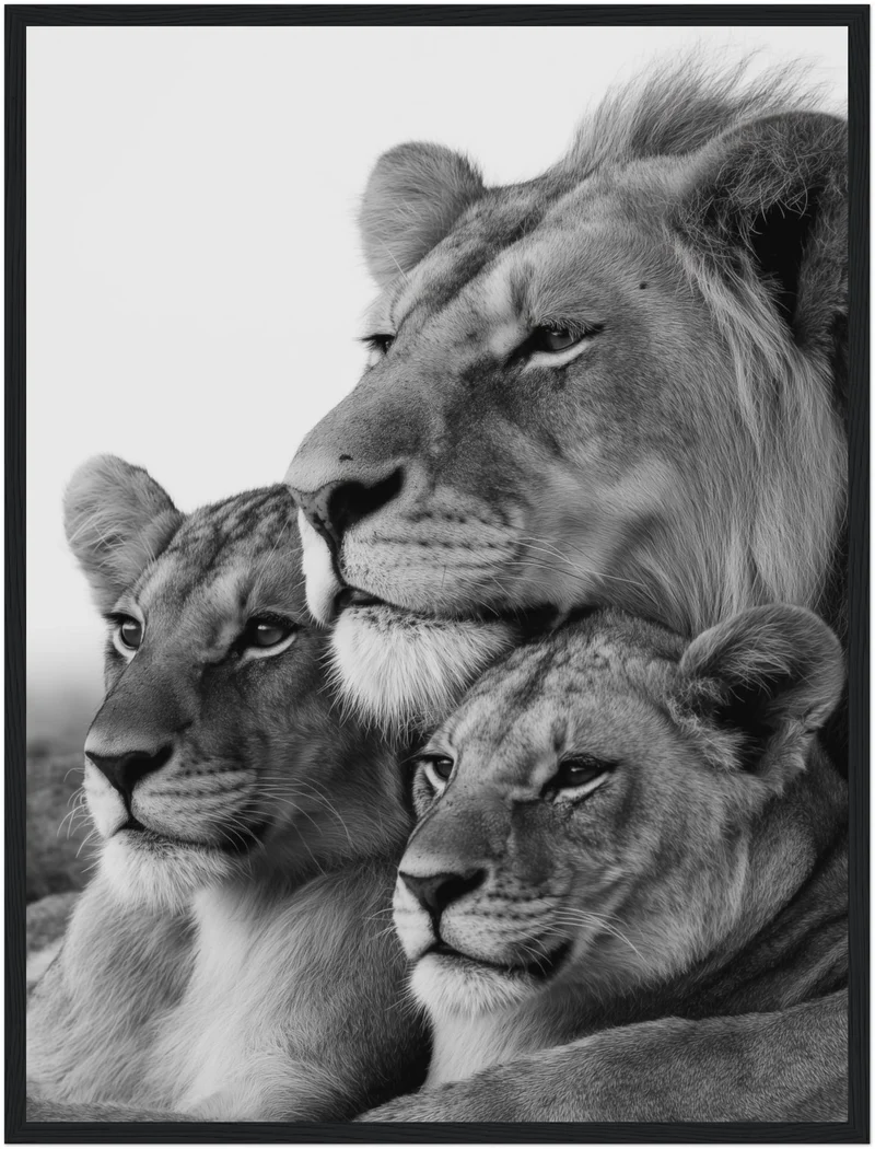 Löwenfamilie Poster