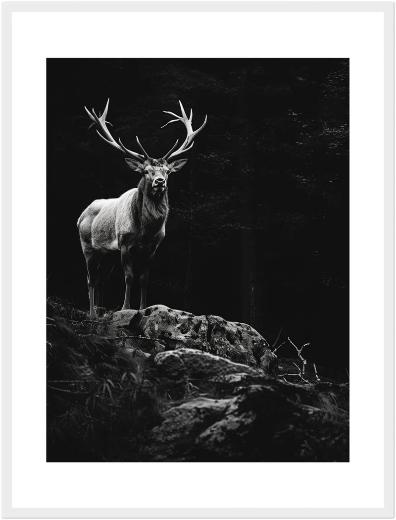 Hirsch auf Felsen Poster