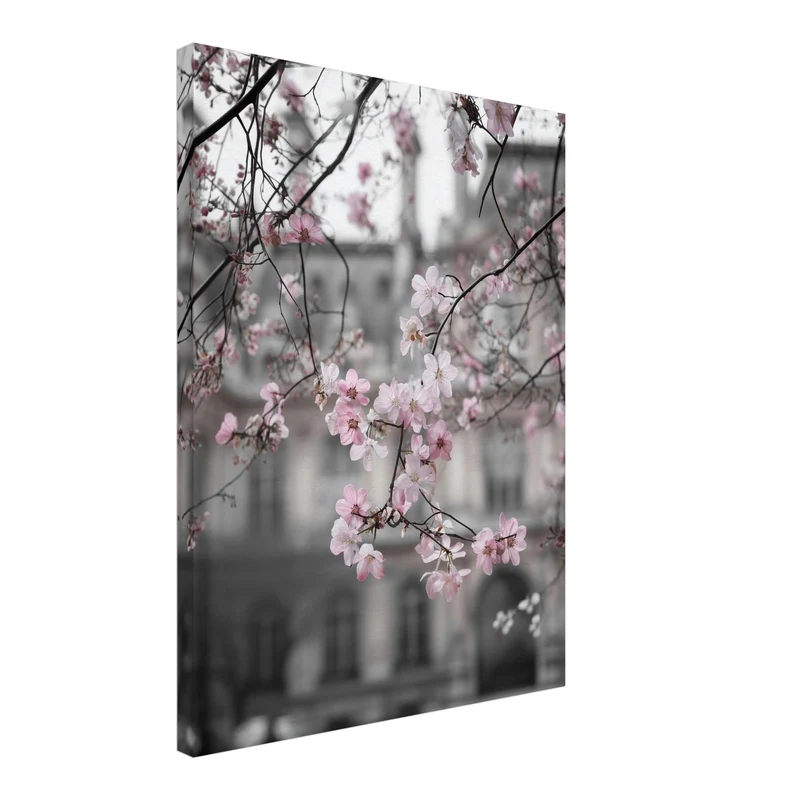 Kirschblüten vor Stadtfassade Leinwandbild