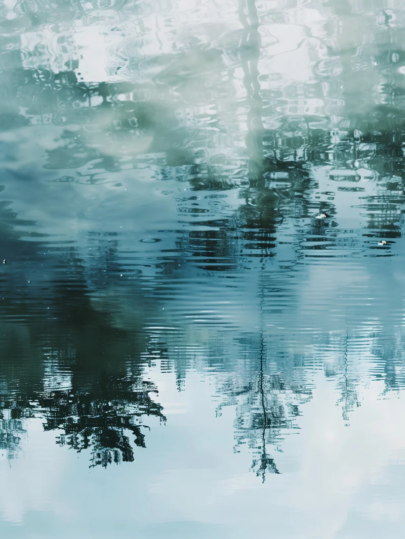 Spiegelung von Bäumen im Wasser Poster