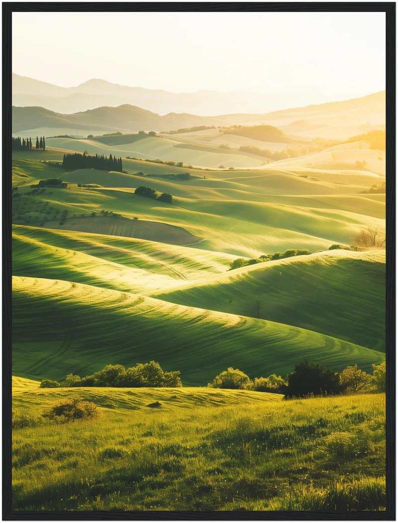 Sanfte Hügel im Morgenlicht Poster