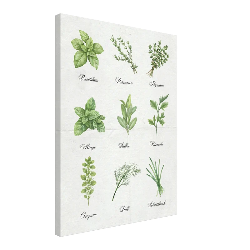 Kräuter Illustration Set Leinwandbild