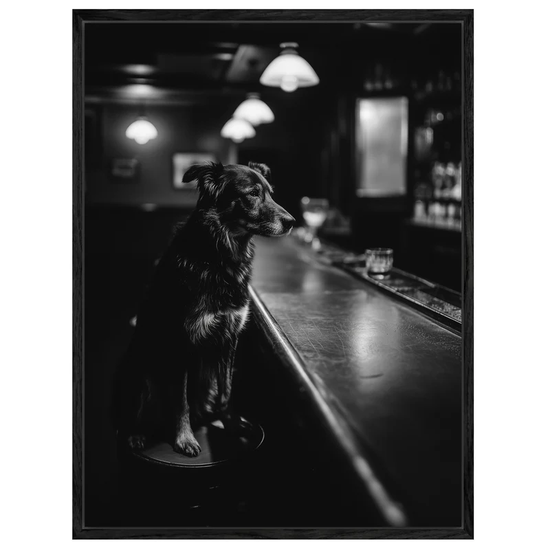 Hund an Bar Leinwandbild