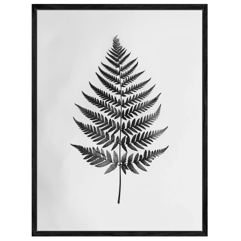 Farnblatt Silhouette Leinwandbild