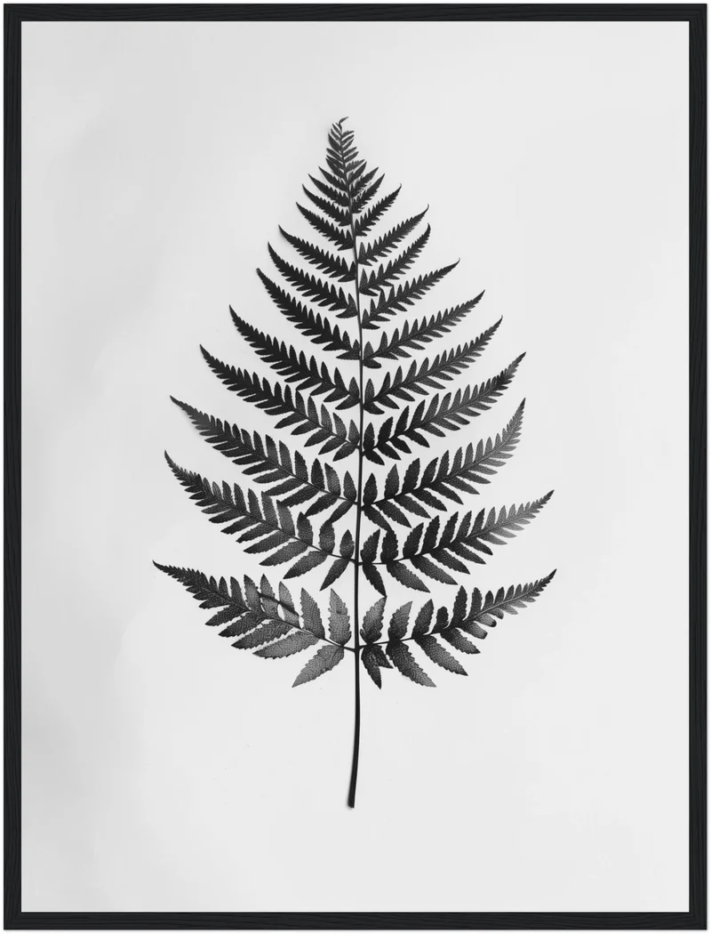 Farnblatt Silhouette Poster