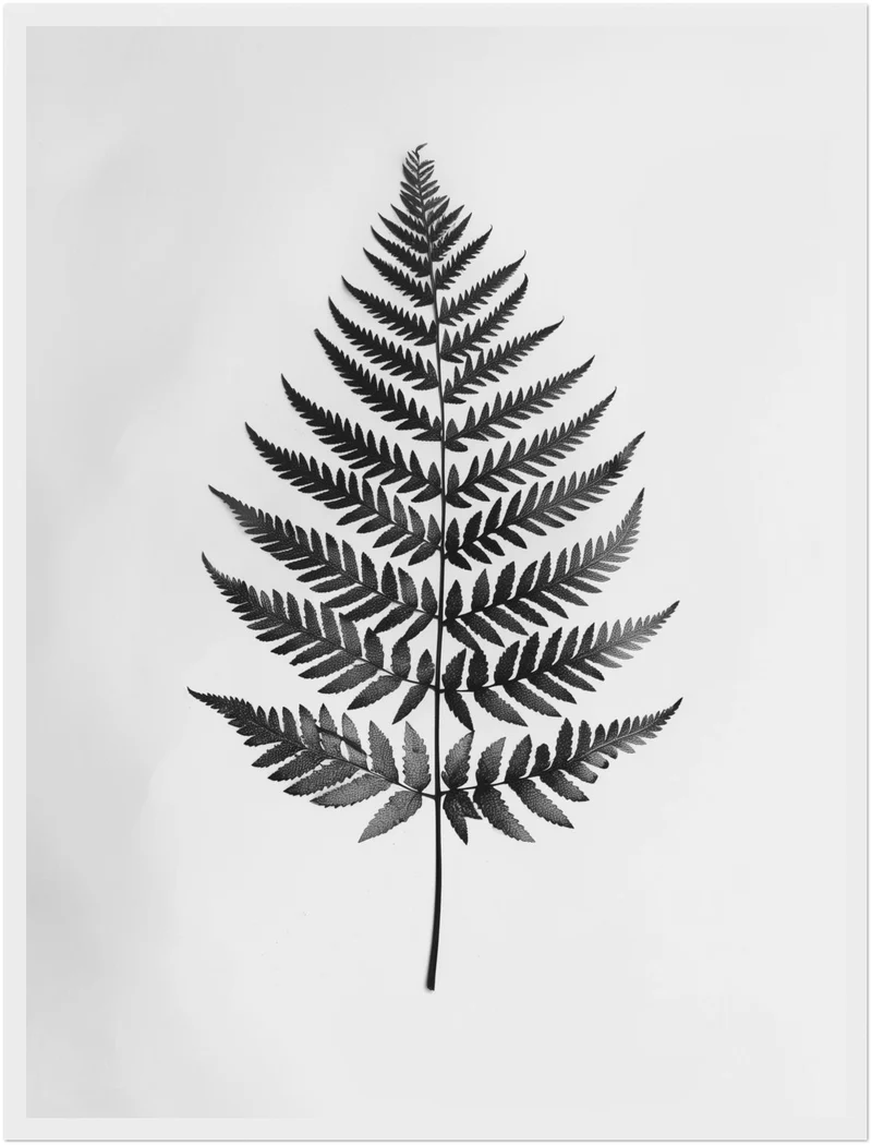 Farnblatt Silhouette Poster