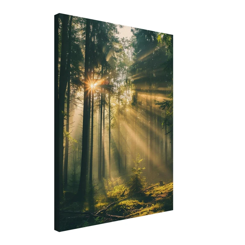 Lichtstrahlen im Wald Leinwandbild