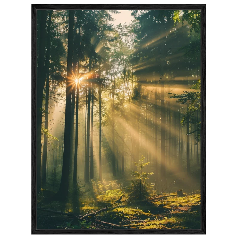 Lichtstrahlen im Wald Leinwandbild