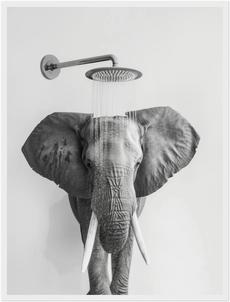 Elefant unter Dusche Poster